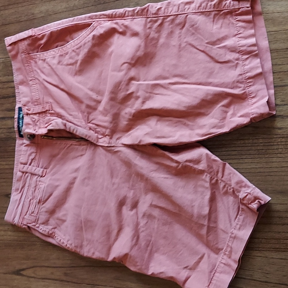 Mens American Eagle Extreme Flex slim shorts - size 26